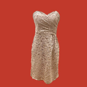 NWT David’s bridal strapless knee length dress w/lace overlay SZ 6. Lt taupe.